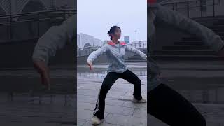 太极拳经典发力#太极 #陈式太极拳 #武术 #非遗 #想学太极的心达到了顶峰