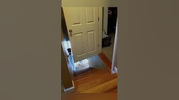 Epic Design Fails😂 #funny #designfails