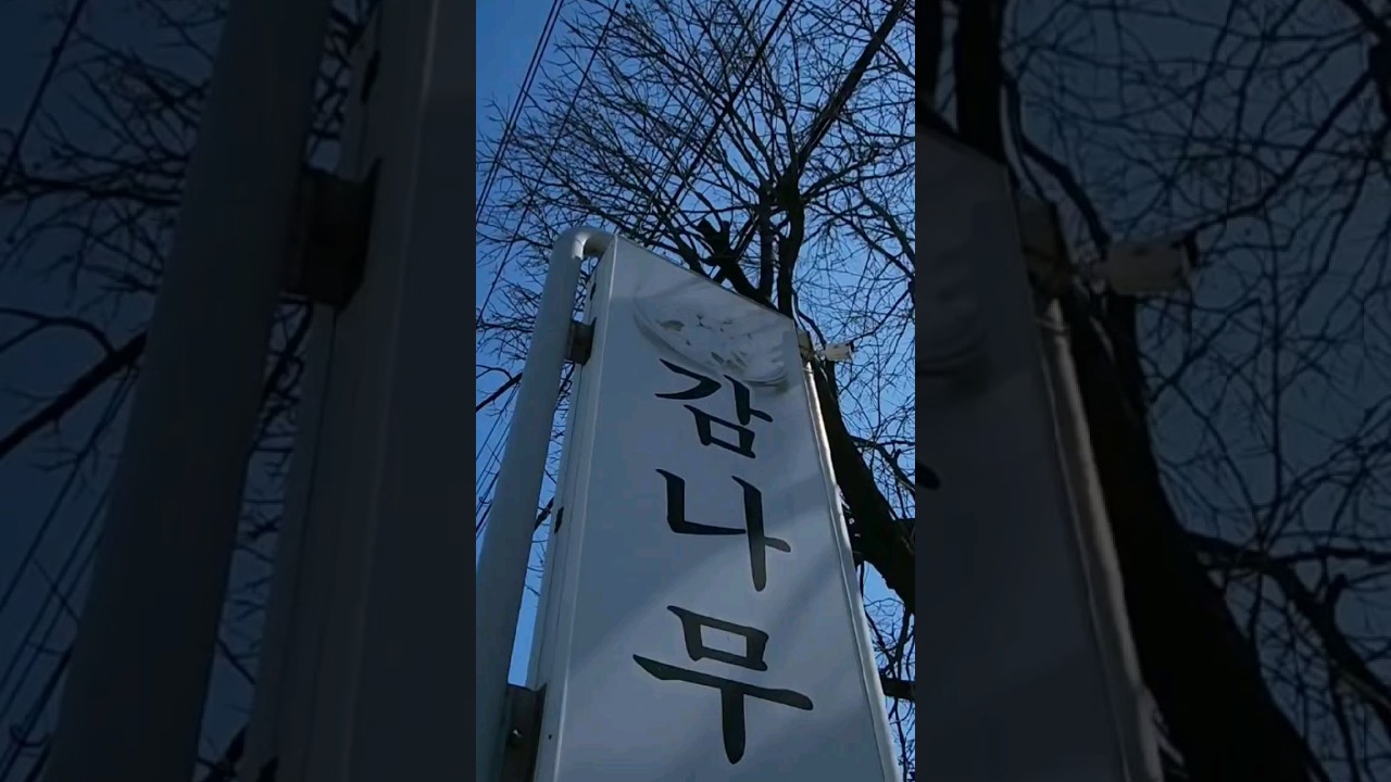 자연산 송이 황태해장국 왕왕추천.. 강원도 양양 맛집 감나무식당 1시간 대기타도 아깝지 않은식당 #강원도여행 #강원도맛집 #강원도양양