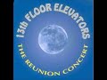Capture de la vidéo 13Th Floor Elevators - The Reunion Concert - Full Album