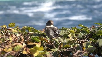 #سورة_الاحقاف #بصوت_جميل_جدا #تلاوة_جميلة_وخاشعة #تلاوة_هادئة