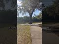 Ken Burn Park