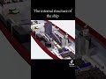 Beneath the Deck: Secrets of the Ship’s Skeleton"