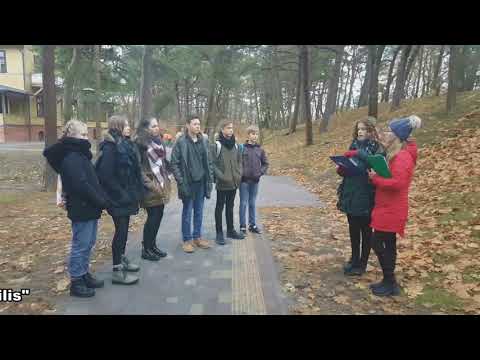 Video: 13 Iš Šiaurės Kalifornijos Prabangiausių Kurortų