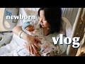 【VLOG64】记录宝宝的一百天💙