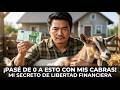 HISTORIA REAL DE MARCOS Cómo pasé de 0 a vivir del campo_ Mi plan de libertad FINACIERA con cabras