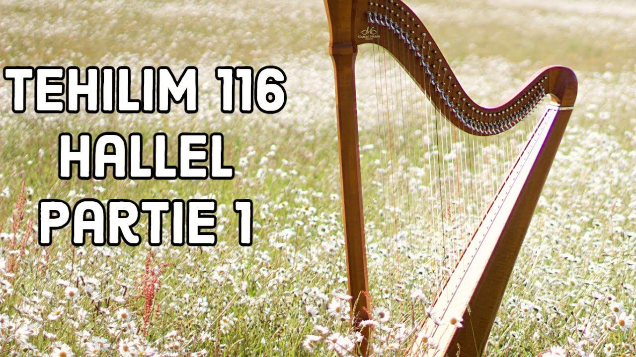 Rav David Benitah - Etude des Tehilim 116 ( Hallel) 1er cours
