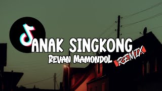 VIRAL TIKTOK‼️ANAK SINGKONG - ( Revan Mamondol - Remix )