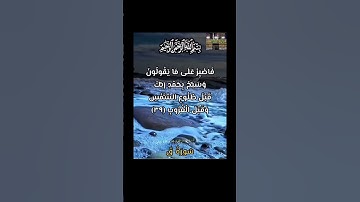 #تلاوةعراقية 🇮🇶مؤثرة  #تلاوات #قران_كريم #تلاوة_هادئة #قرآن #تجويدعراقي #تلاوةخاشعة
