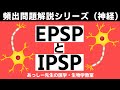EPSPとIPSP(興奮性シナプスと抑制性シナプス)－頻出問題解説シリーズ（神経）