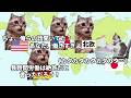 【日本の働き方】現代の仕事をキツく感じる人が増えている理由#猫マニ #猫ミーム