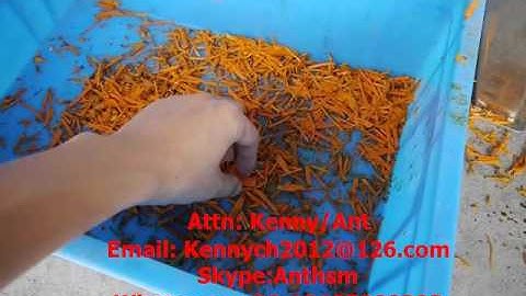 sh-100 root vegetable cutting machine, ginger slicing , shredding machine, cutter