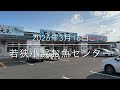 【福井県最強朝市】鮮度抜群の魚介類が次々運ばれ出す『若狭小浜お魚センター』【神回】