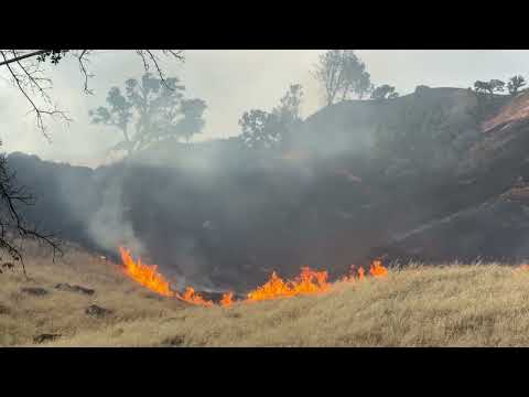 Scenes from the Putah Fire in Northern California