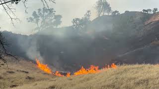 Scenes from the Putah Fire in Northern California