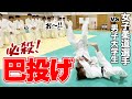 【巴投げ披露】ドイツの柔道チームが了徳寺大学にやってきました。