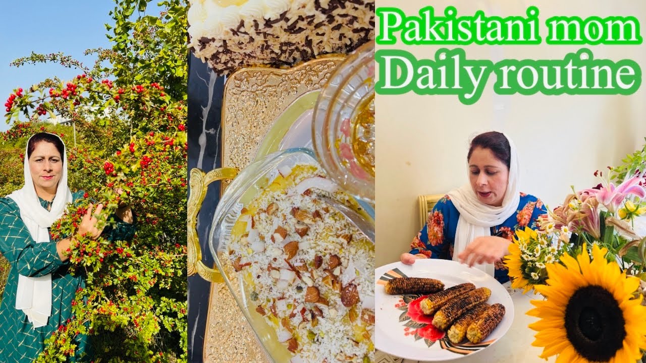  Pakistani Mom Daily Routine In UK Motiv 