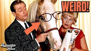 Famous Mister Ed (1961): 15 Weird Facts You Didn't Know Net Worth