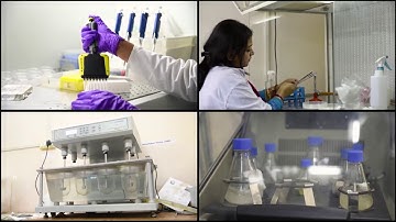 SOA CORPORATE FILM 2018