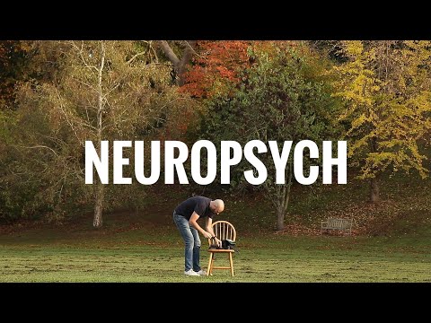 My 12 month cognitive testing - when I thought I had dementia