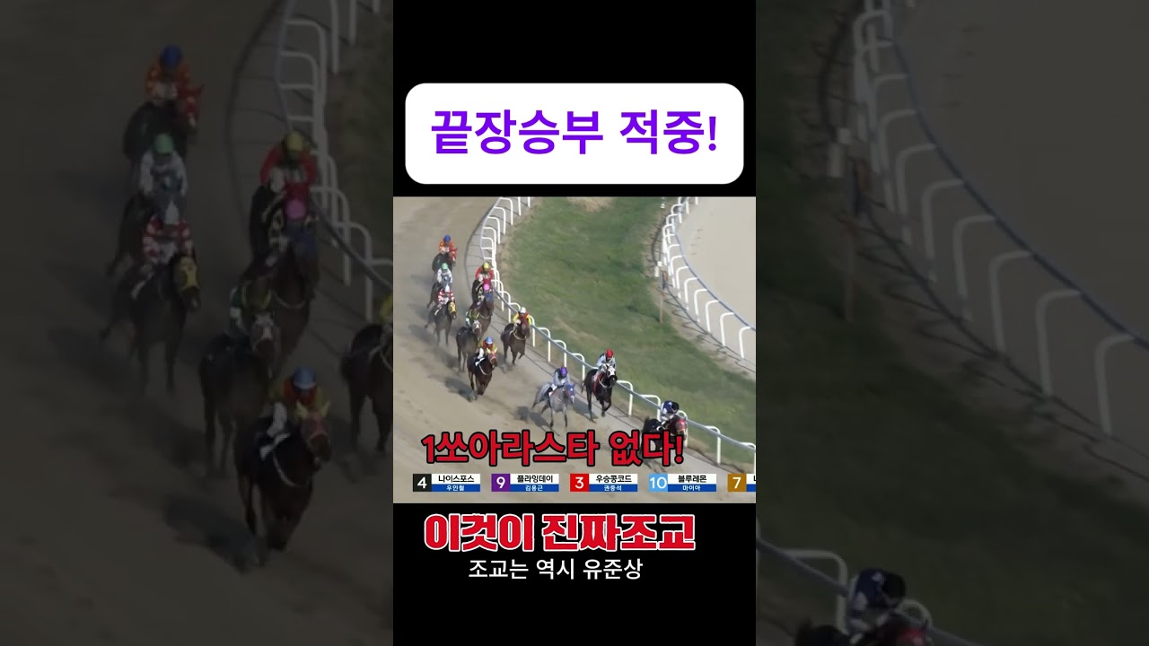 5/24 일요 끝장 승부 적중! #경마방송 #유준상 #경마