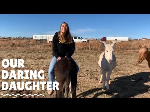 FAMILY HOME FOR THANKSGIVING  | WATCH OUR DARNG DAUGHTER RIDE PEPPER OUR DONKEY!