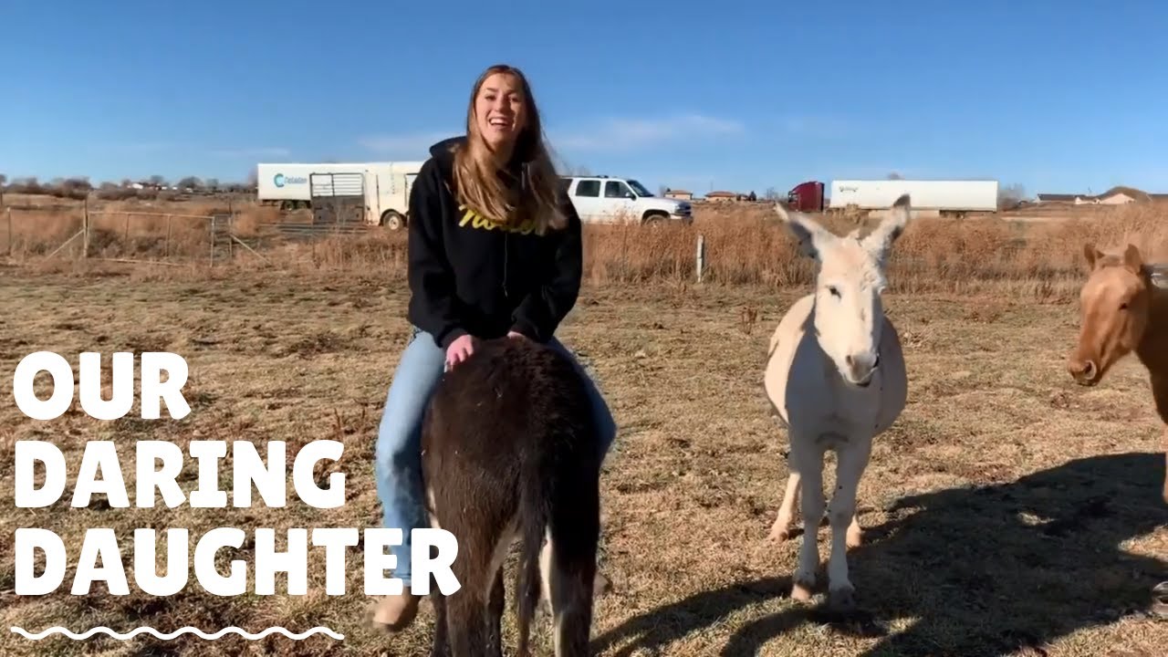FAMILY HOME FOR THANKSGIVING  | WATCH OUR DARNG DAUGHTER RIDE PEPPER OUR DONKEY!