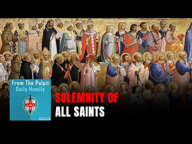 Home 7 Daily IVE Homilies, November 1st, 2025 - Solemnity of all Saints