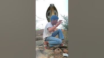 Snake Attack #shorts #anaconda #trex #snake #nagin