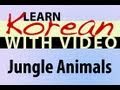 Learn Korean with Video - Jungle Animals