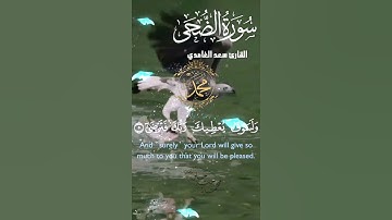 تلاوة خاشعة عطرة مباركة جميلة عذبة للشيخ سعد الغامدي سورة الضحى