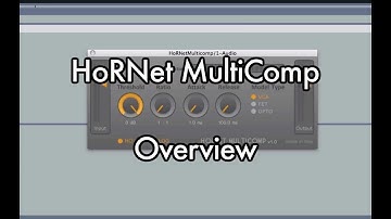 HoRNet MultiComp Overview