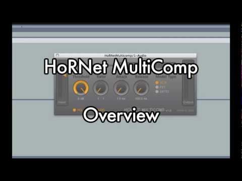 HoRNet MultiComp Overview