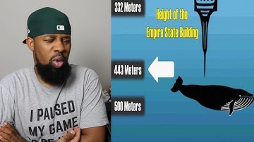 The Ocean is Way Deeper Than You Think...