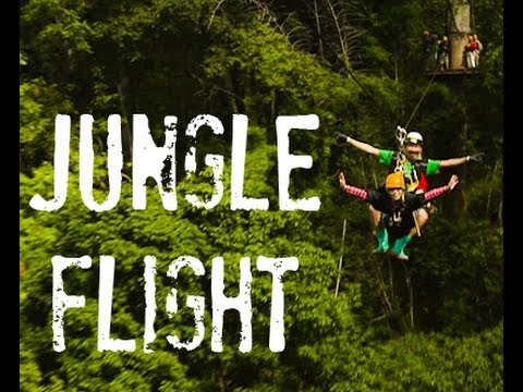 travel jungle flights