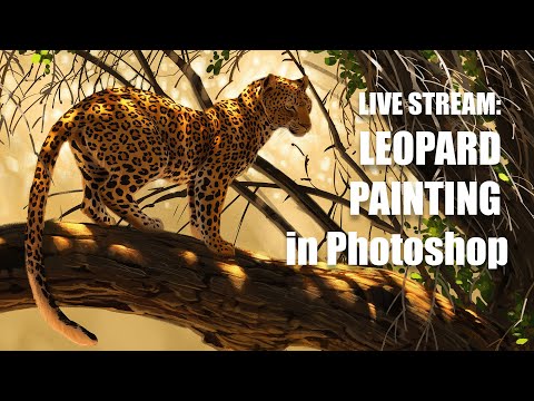 LIVE STREAM -  #WacomOne Giveaway and Leopard Drawing