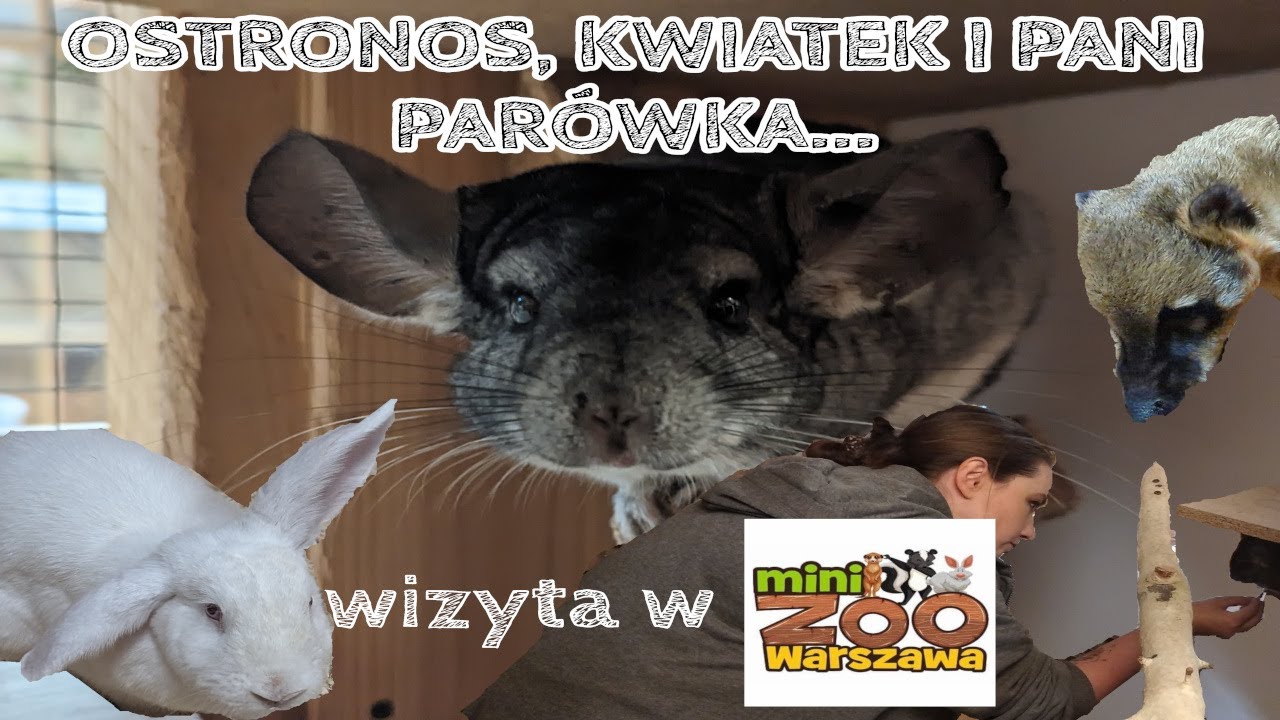 Мини-зоопарк в Варшаве? Конечно!