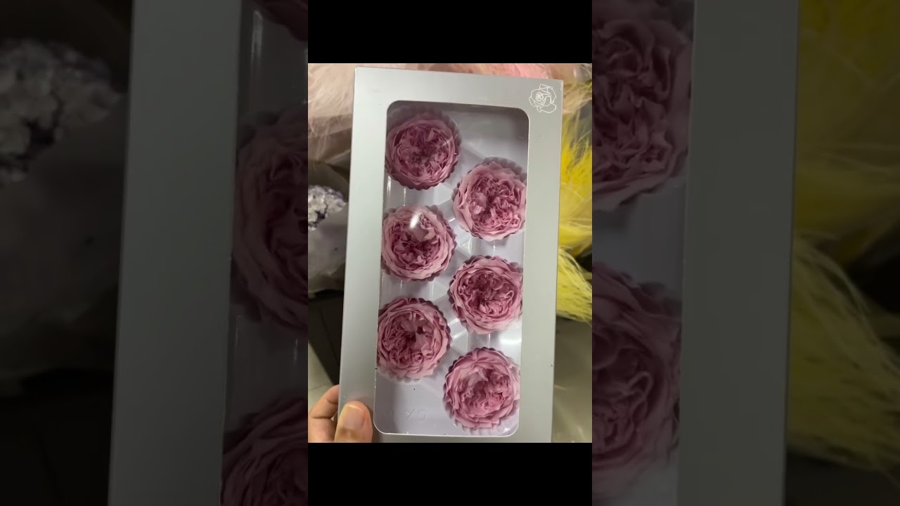 preserved rose in box European love for floristry manufacturer wholesale luxury styles👏