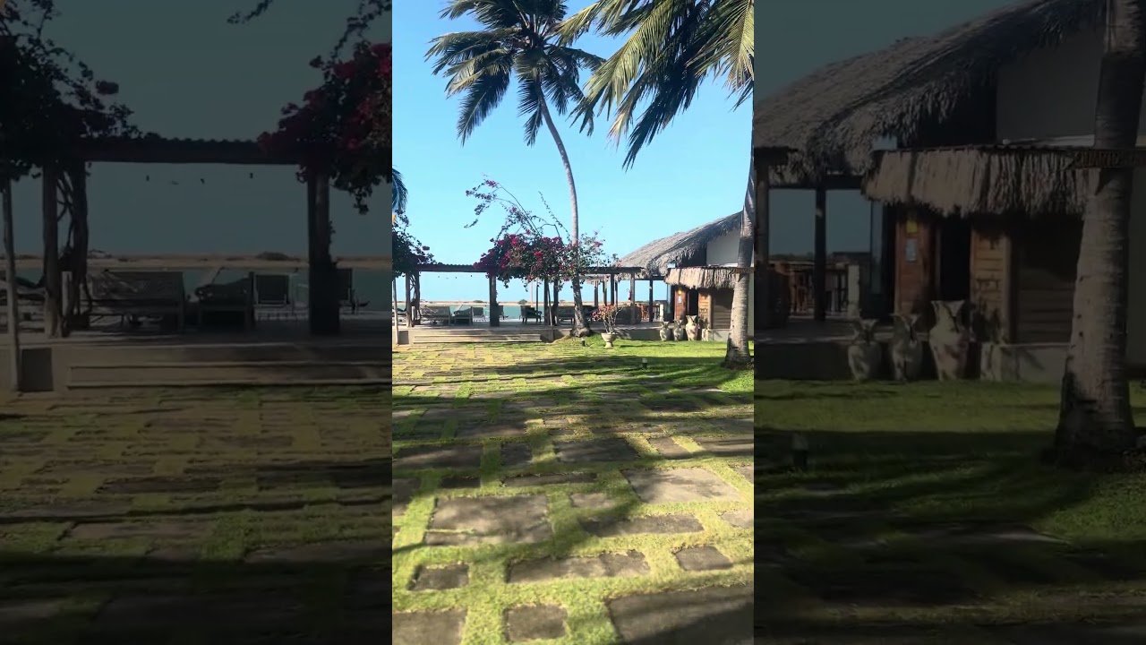 Ilha 🏝️ do guajiru , Ceará ! 🇧🇷#kitesurfing #kitesurfadventure #kiteschool #kitesurfingworld