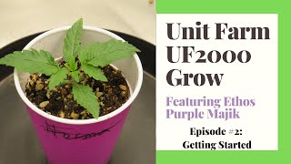 UF 2000 Grow #2 Getting Started