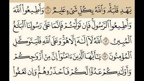 القرأن الكريم (سورة التغابن من 11 إلى 14 )