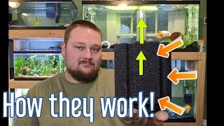 Sponge Filters - How they work!!!
