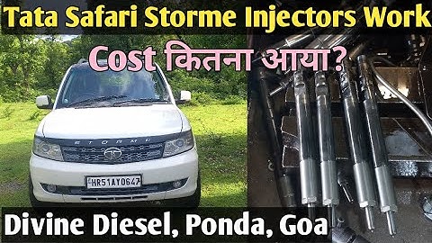Tata Safari Storme Injector