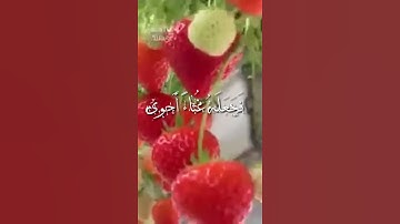 سورة الأعلى  مقاطع حالات واتساب