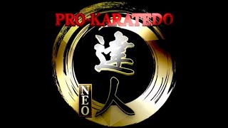 PRO-KARATEDO TATUJIN NEO３　＃Japanesekarate　  #Allmatchdigest screenshot 1