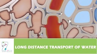 LONG DISTANCE TRANSPORT OF WATER_PART 02