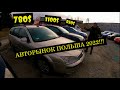 АВТОСАЛОН, АВТОРЫНОК Польша 2022. Где купить машину в Польше? #Польша #Авторынок #автосалон