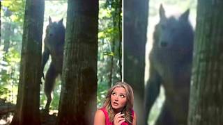 SHOCKING Spine Chilling CRYPTIDS & More Caught on Camera 2026