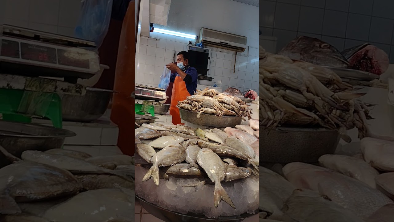 Dammam Fish Market YouTube