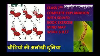 चीटियों की अनोखी दुनिया | अनुगूंज पाठ्यपुस्तक |Class 7 | पाठ 6 | CBSE |Complete  Explain. With Q/Ans